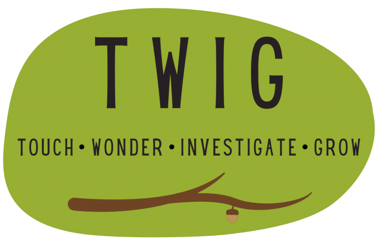 twig medical