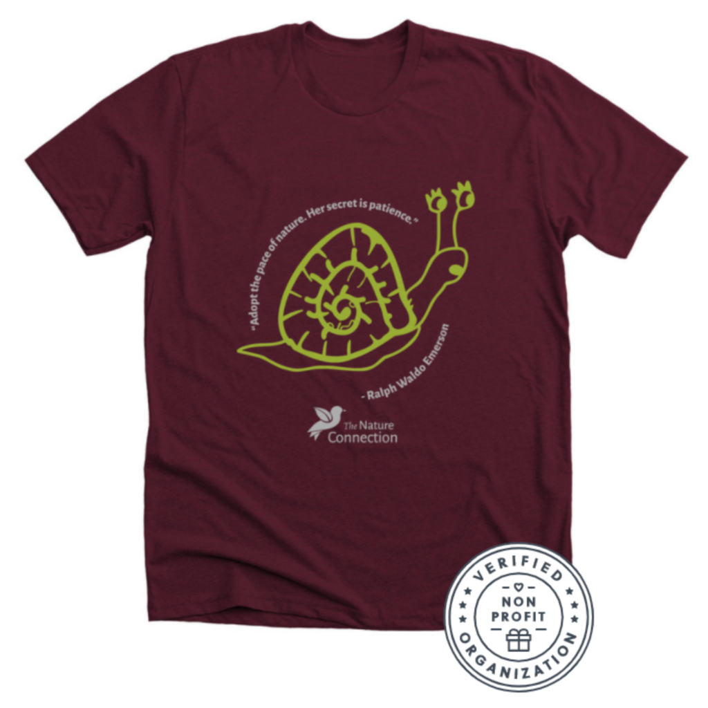 Picture of t-shirt with snail drawing and quote